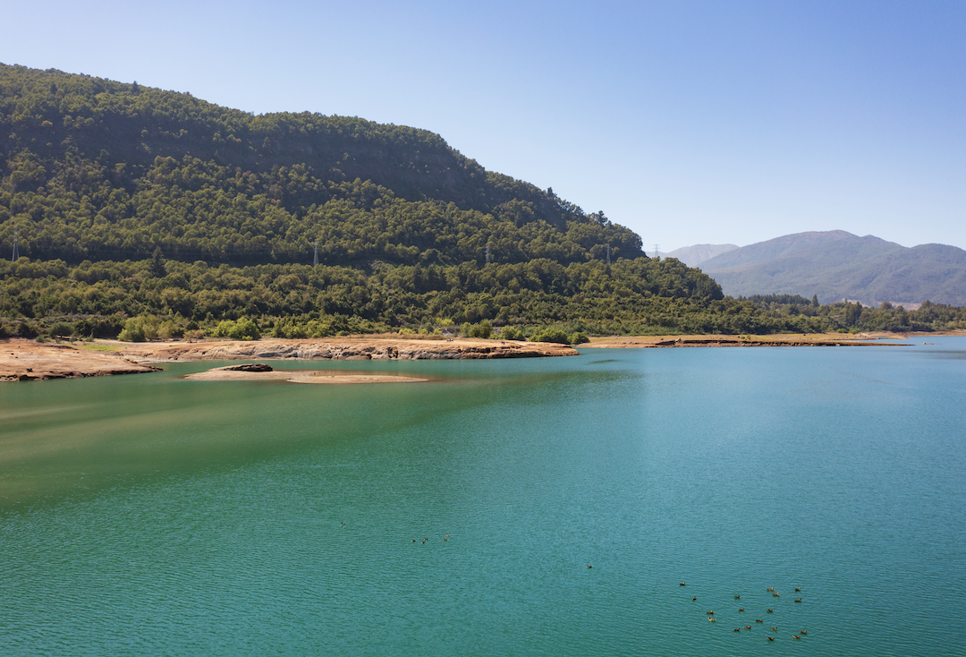Foto aérea Lago Colbún. patos silvestres nadando en el agua