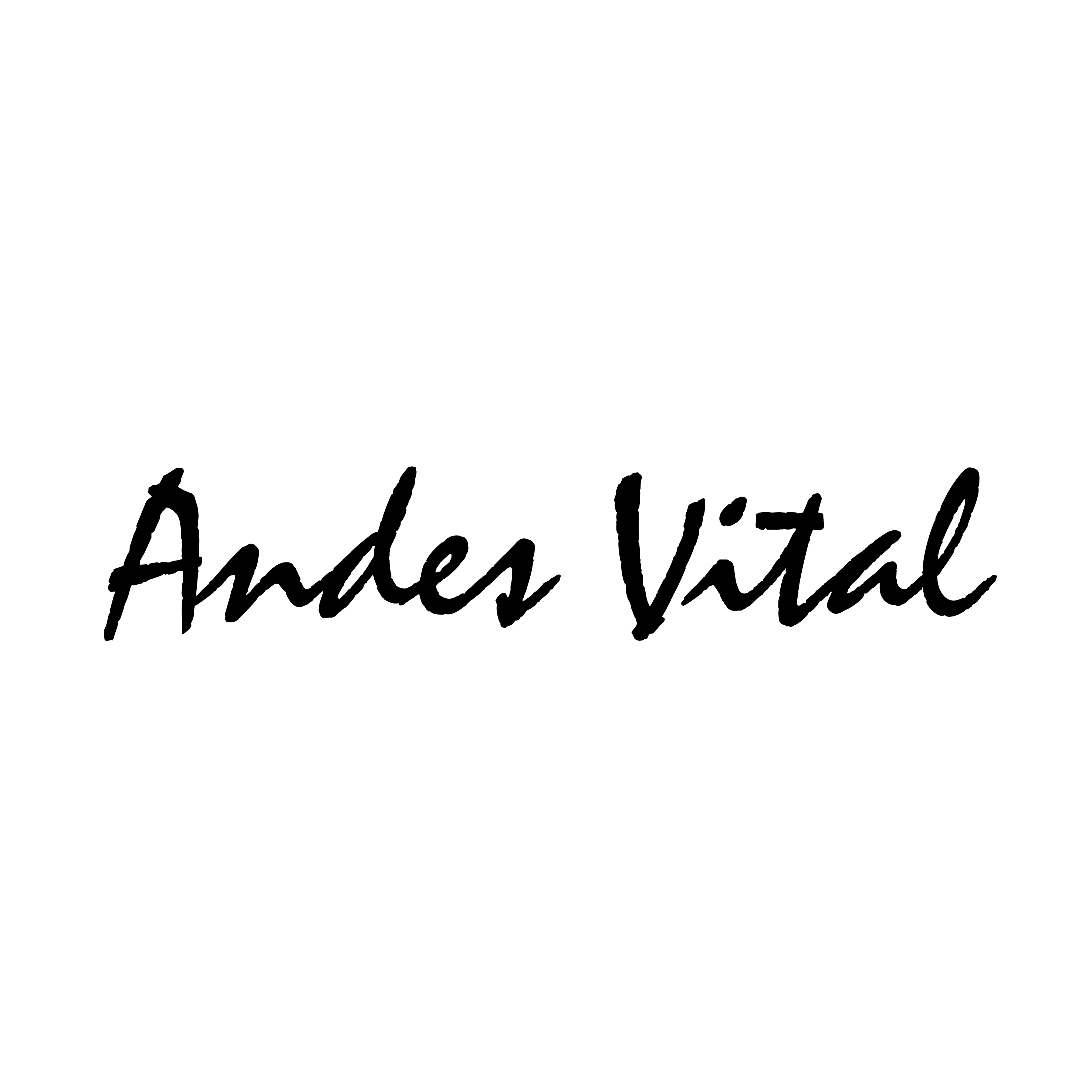 Andes Vital