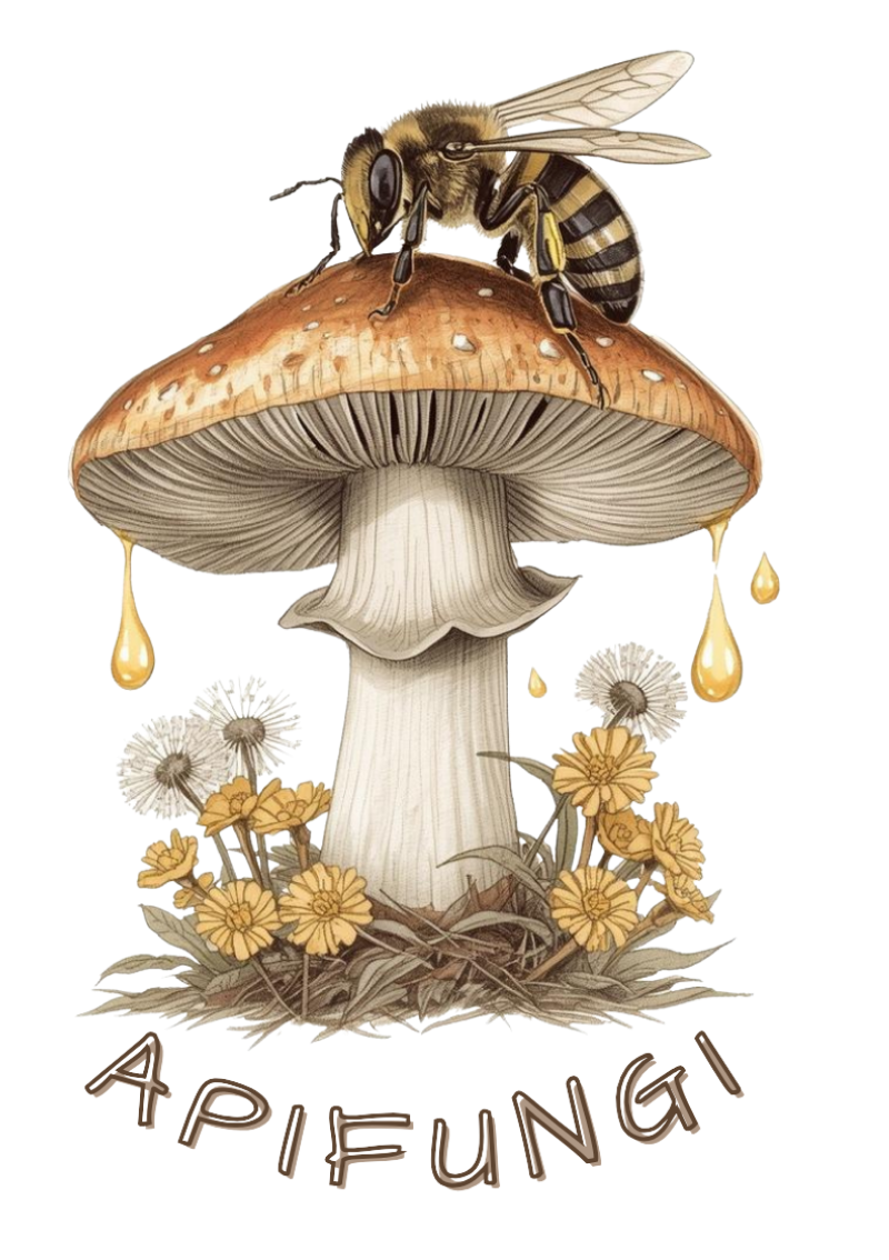 Apifungi