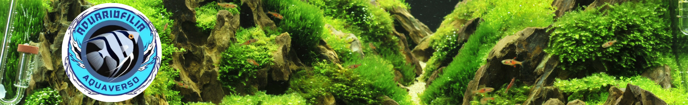 Aquaverso - Loja Especializada em Aquariofilia