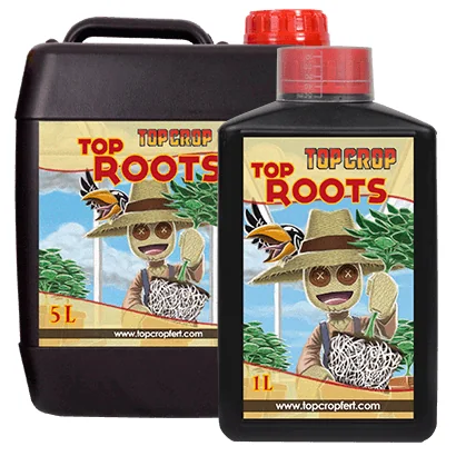 Top Roots - Top Crop