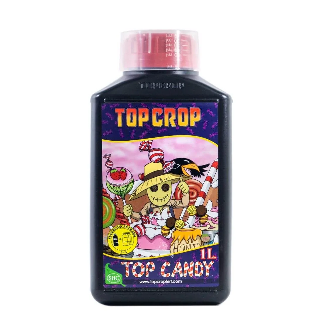 Top Candy - Top Crop