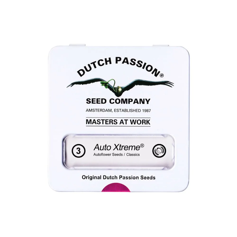 Xtreme Auto — Dutch Passion