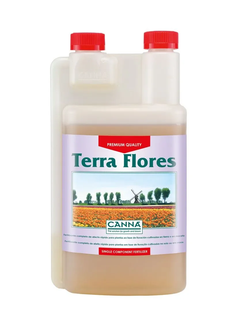 Terra Flores - Canna