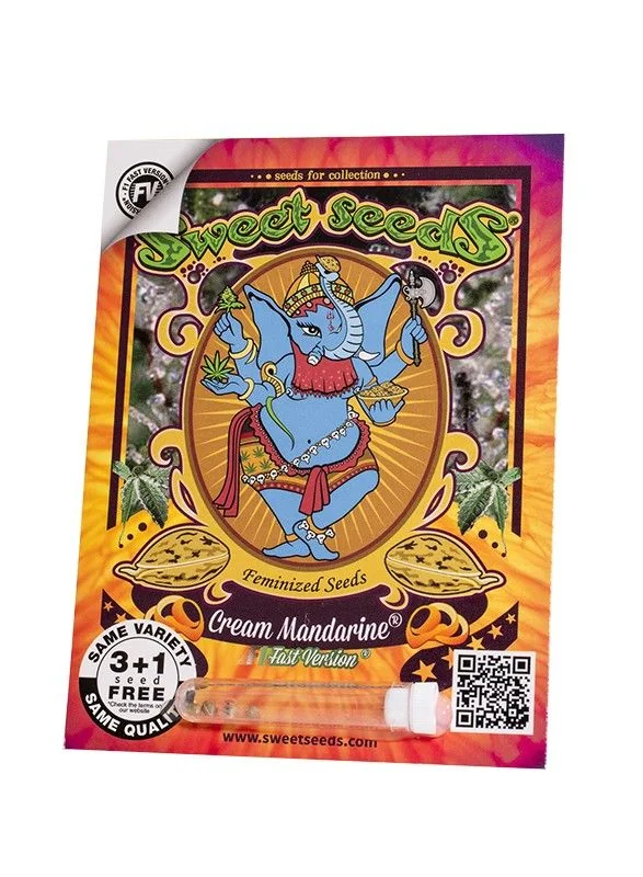 Cream Mandarine F1 Fast Version Sweet Seeds - disponible en Astro Growshop Chile