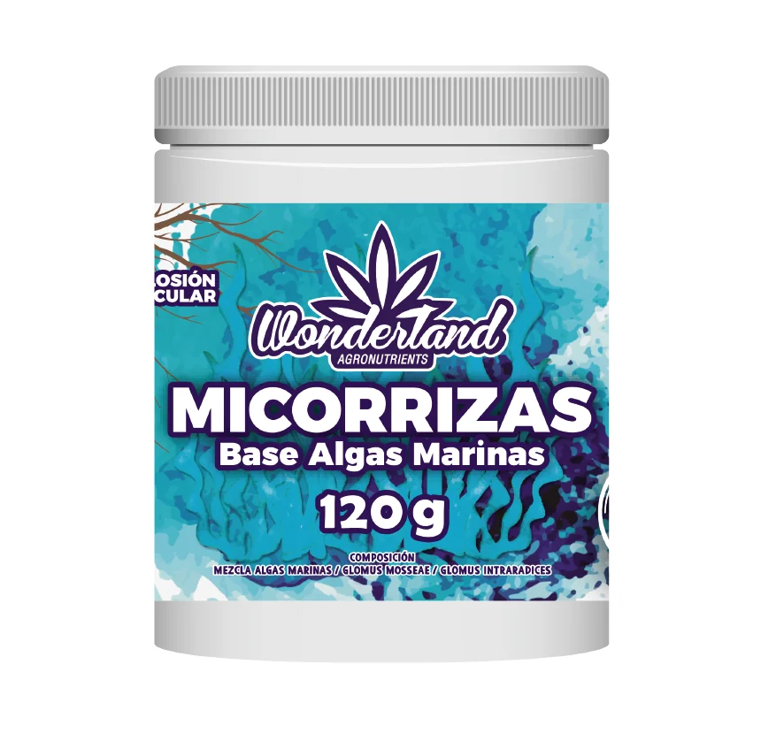 Micorriza - Wonderland