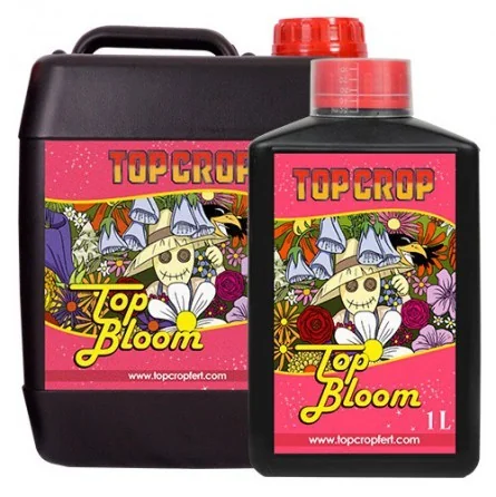 Top Bloom - Top Crop