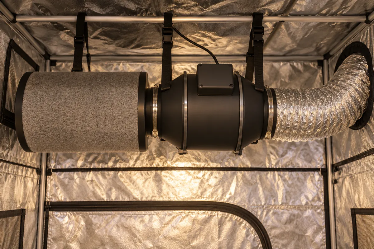 Extractor de aire en línea colgado en la parte alta de una carpa de cultivo, conectado a un filtro de carbón y a un ducto de aluminio