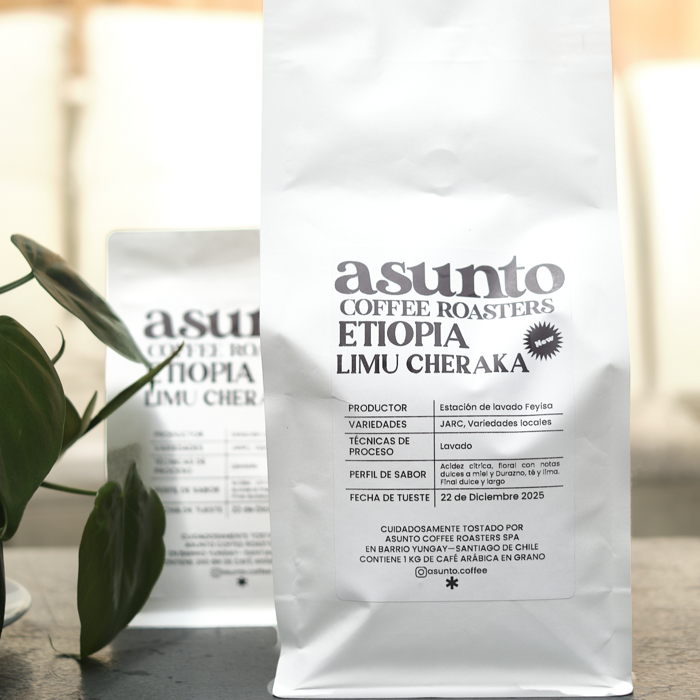 Imagen de Etiopía Limu Cheraka - Formato 1kg