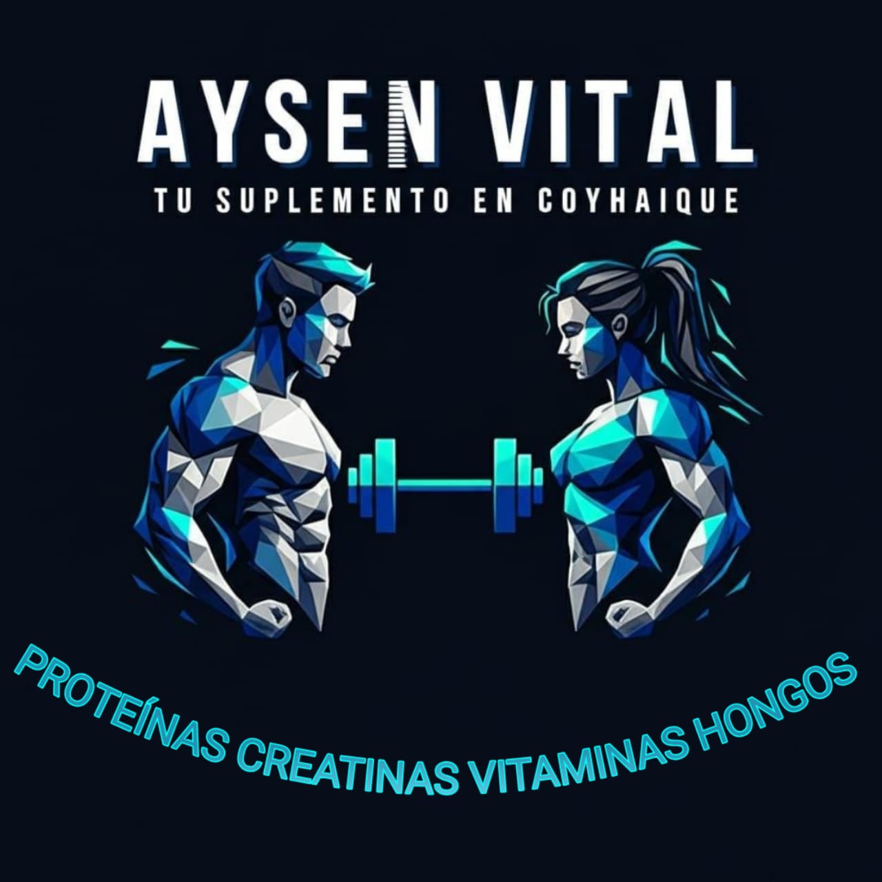 Aysen vital