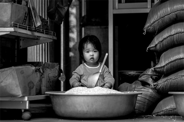 Rice