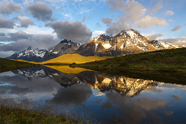 Paine reflejo