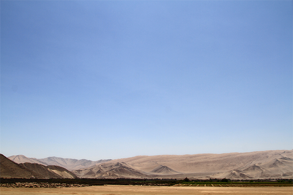 Desierto I