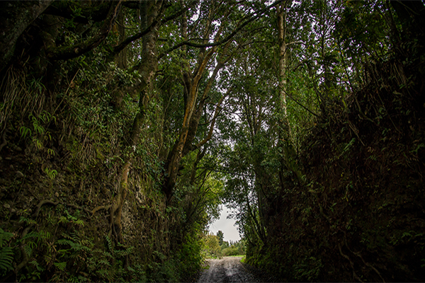 Túnel