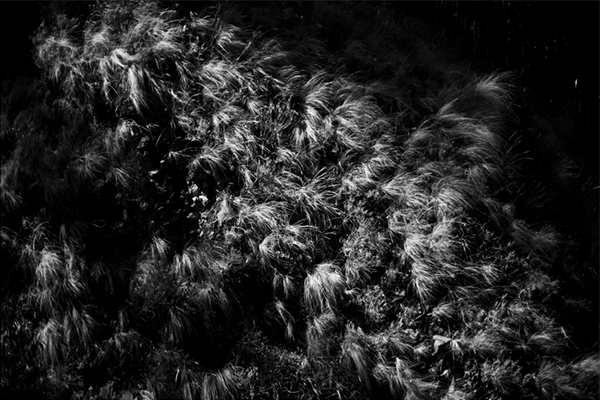Texturas