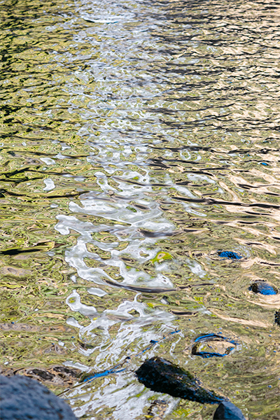 Reflejo