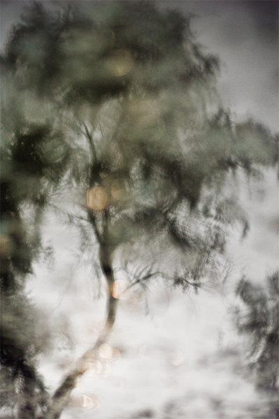 Reflejo