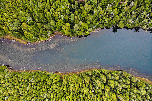 Laguna del medio