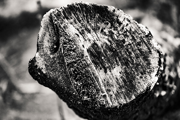 Peel Texture