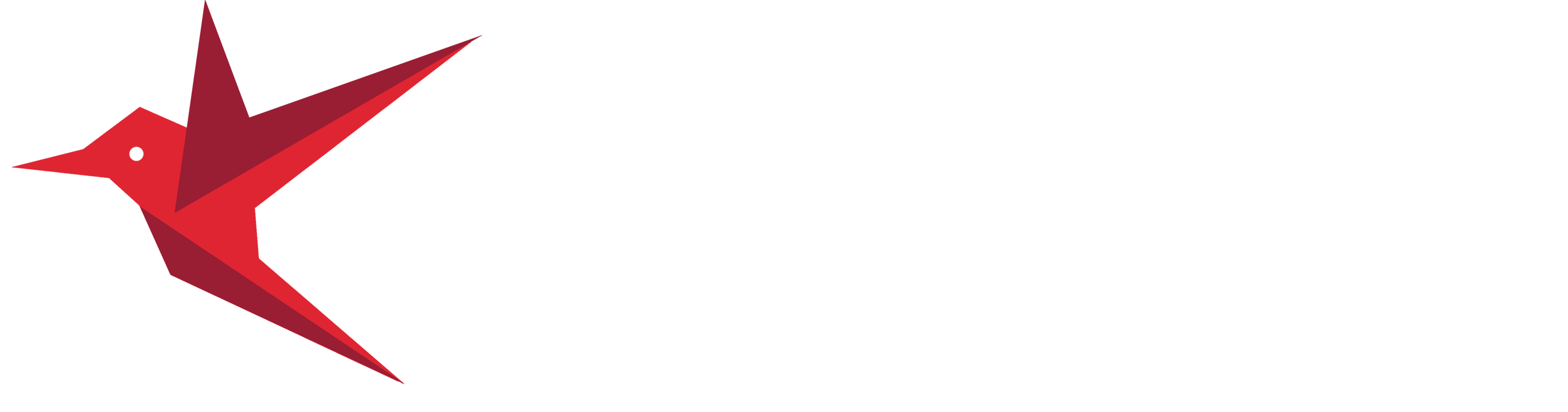 CARION Aviation Services
