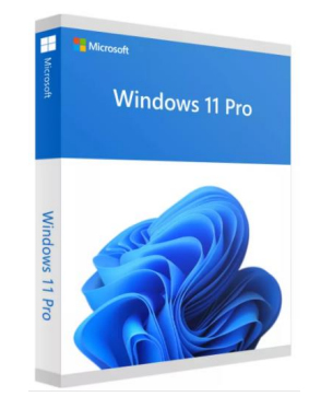 Microsoft Windows 11 Pro OEM DVD 64 Bits Español FQC-10553