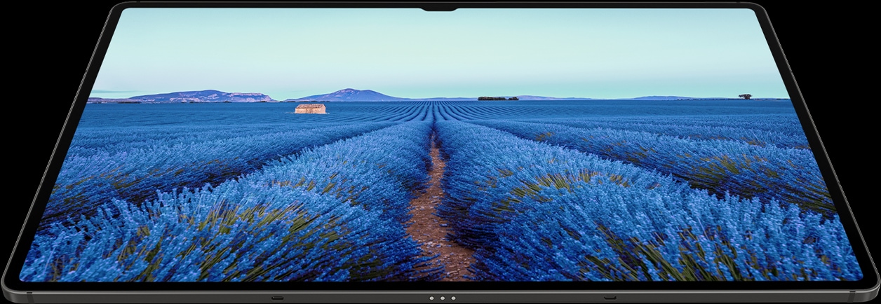 Samsung Galaxy Tab S9 pantalla Dynamic AMOLED 2X