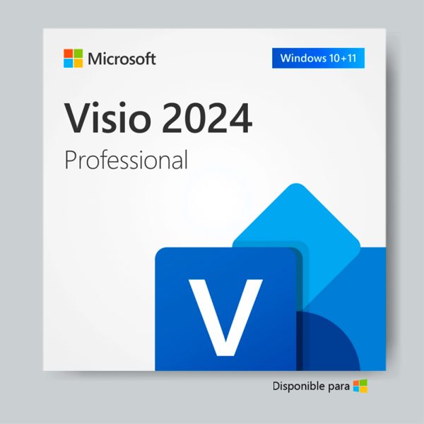 Microsoft Visio Professional 2024 licencia perpetua descarga digital
