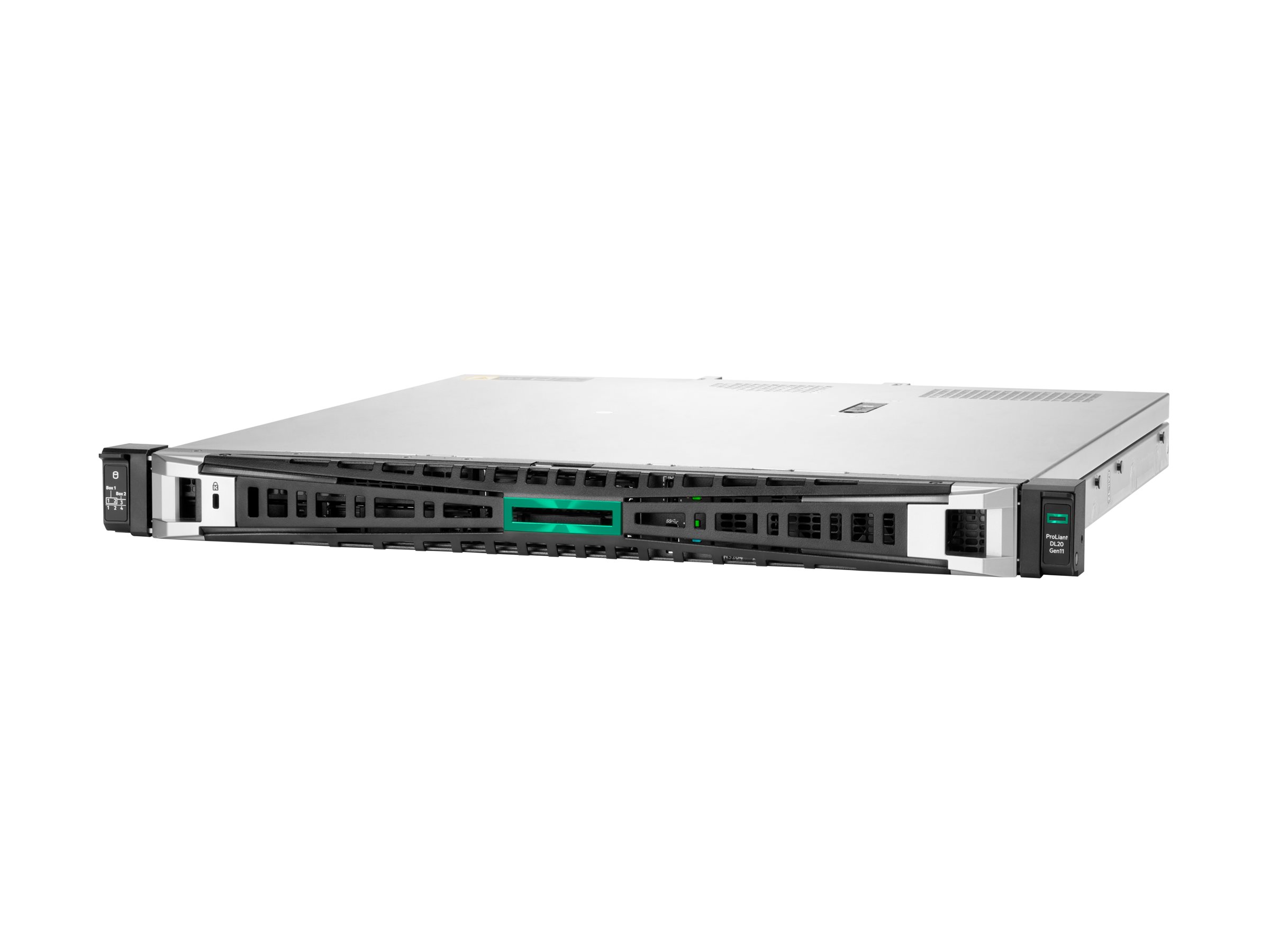 Servidor HPE ProLiant DL20 Gen11 P86721-DM5 rack 1U