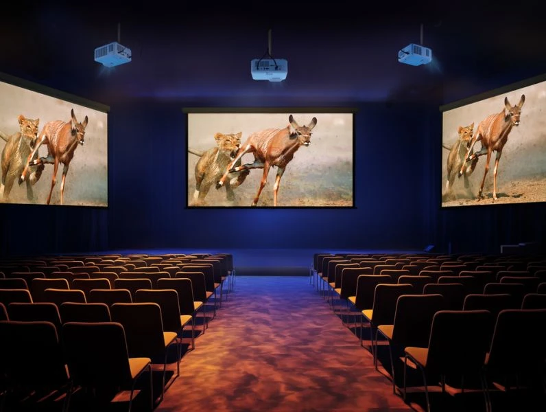 ViewSonic LSD500HD en salón de eventos