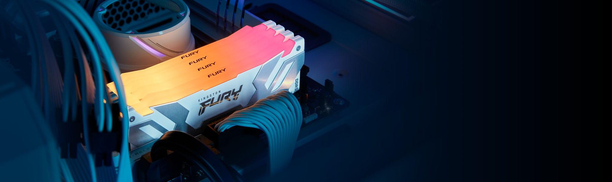 Iluminación RGB Kingston FURY Renegade DDR5