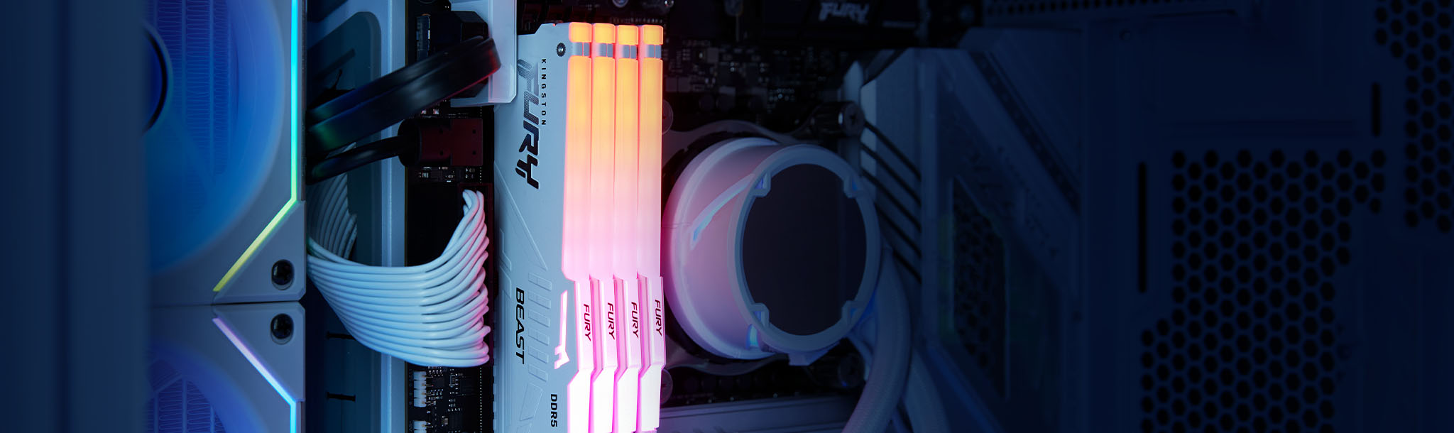 Iluminación RGB personalizable Kingston FURY Beast DDR5 RGB