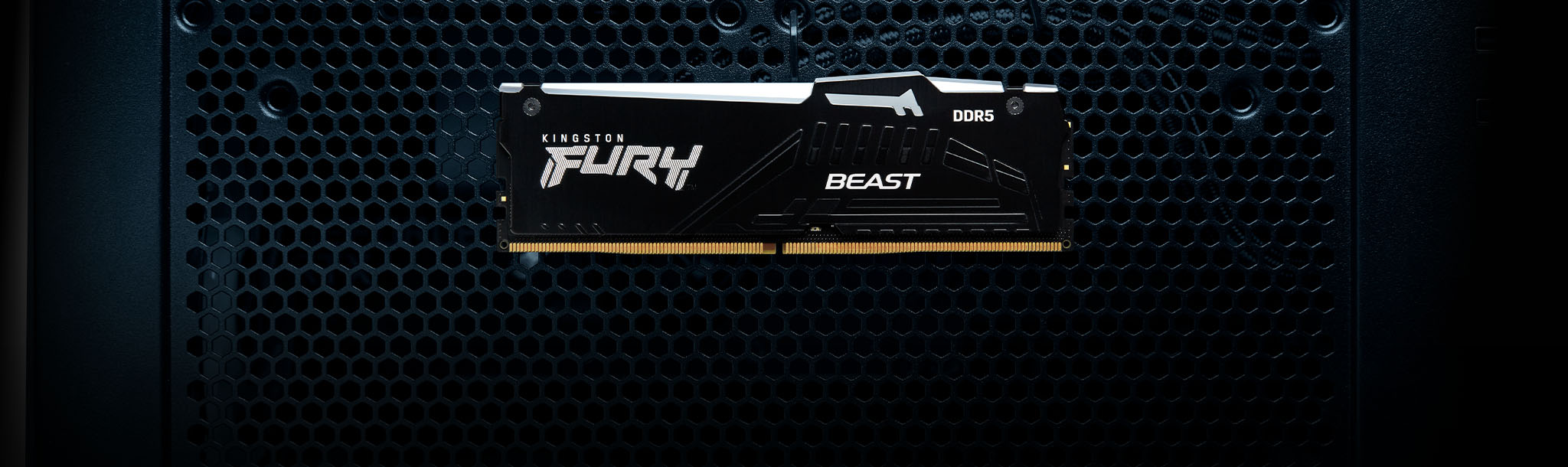 Kingston FURY Beast DDR5 RGB certificada AMD EXPO