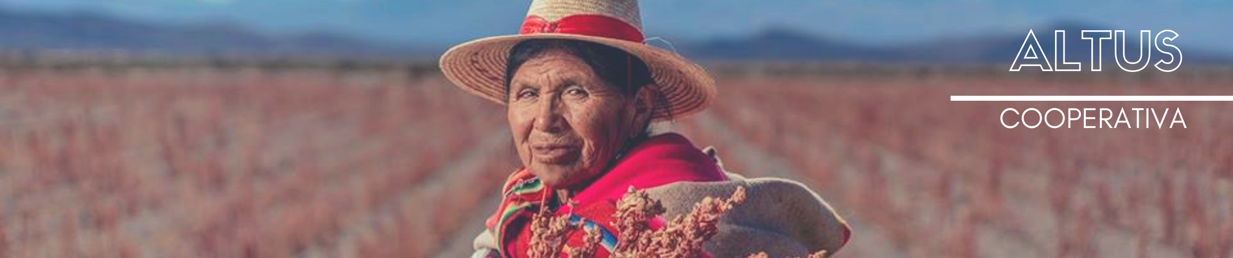 ¿Por qué elegirnos?
