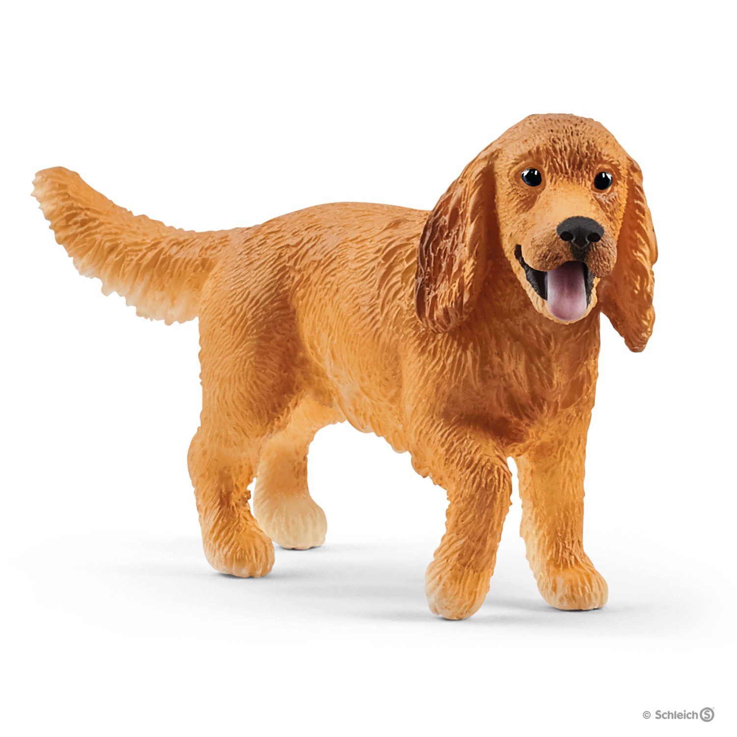 Cocker Spaniel Inglês