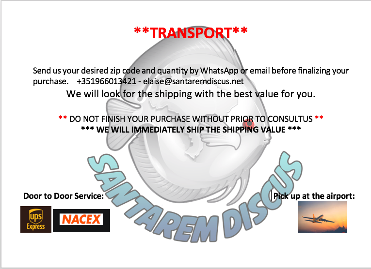 Transport