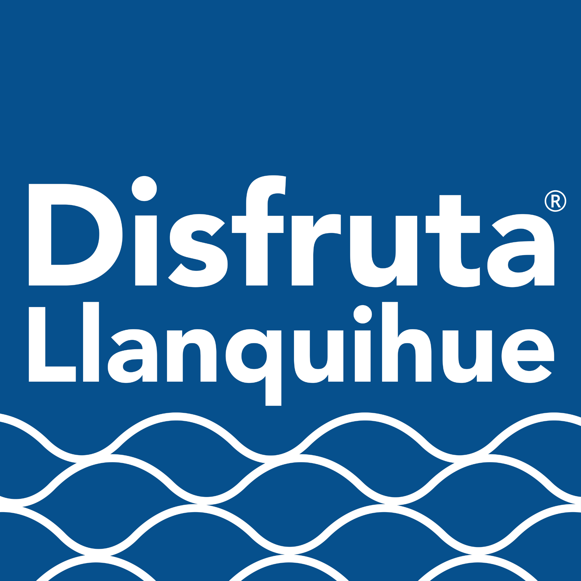 DISFRUTA LLANQUIHUE