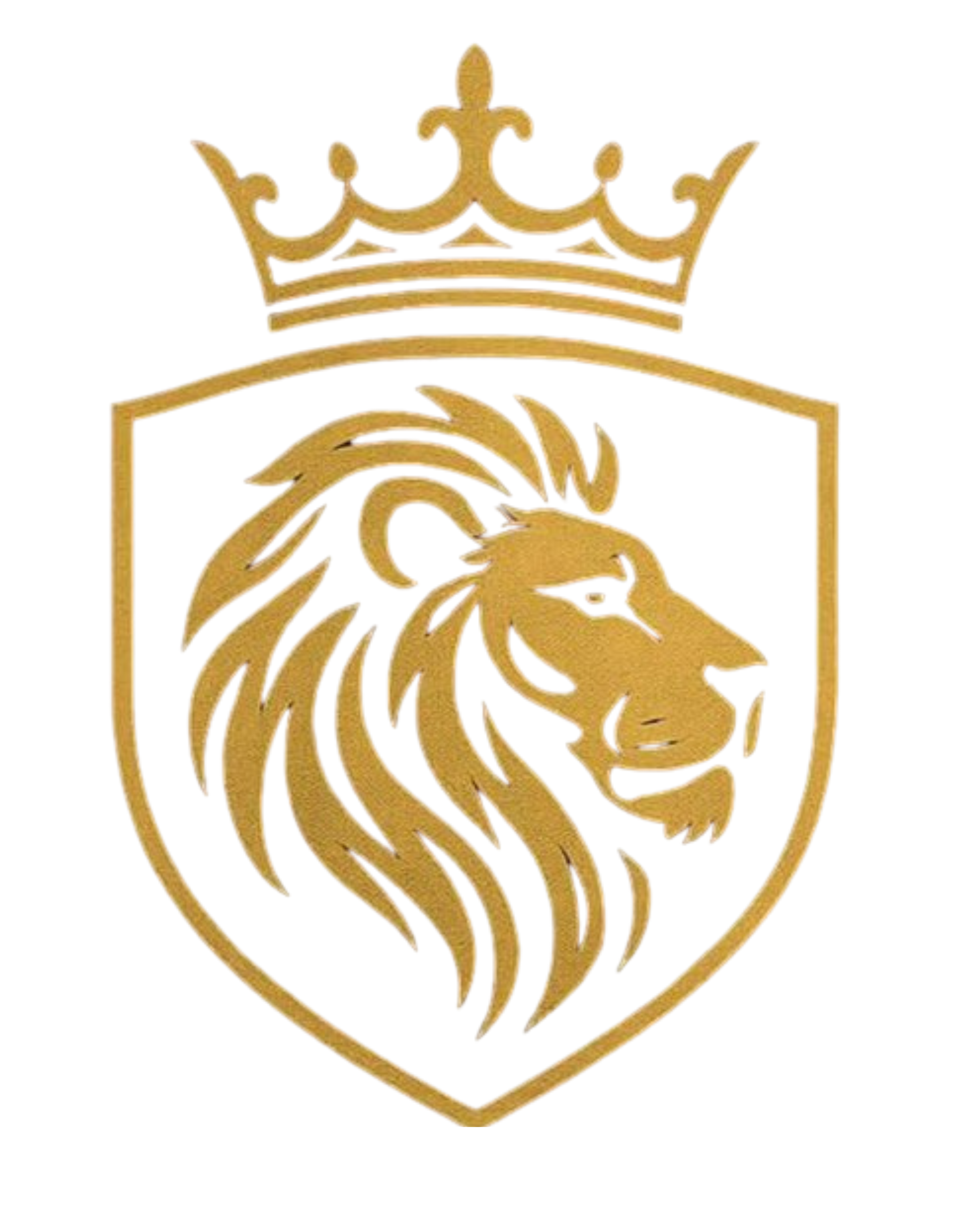 Elite Imports Brasil