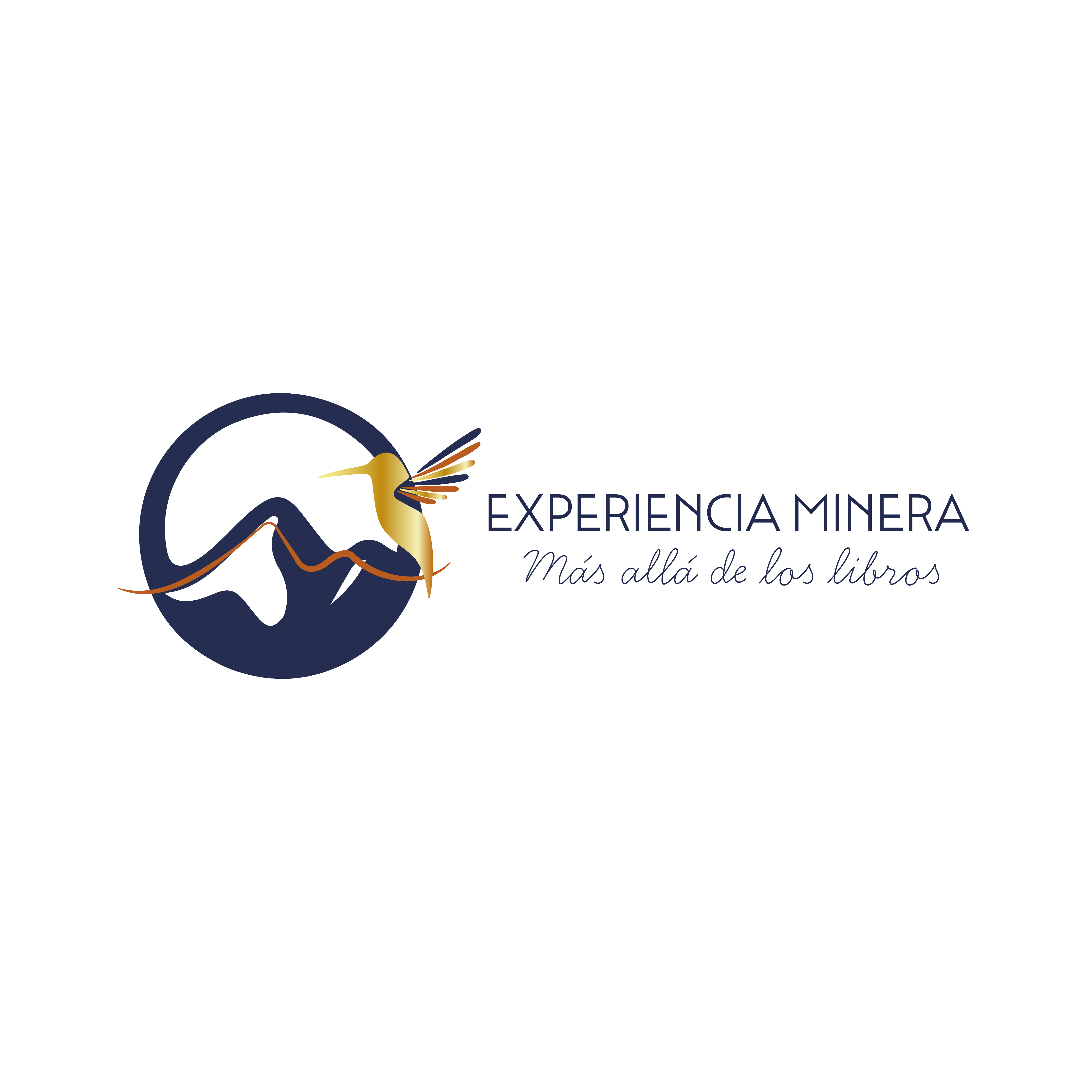 Experiencia Minera