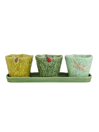 Jardim de Insetos - Conjunto 3 Vasos Insetos Voadores