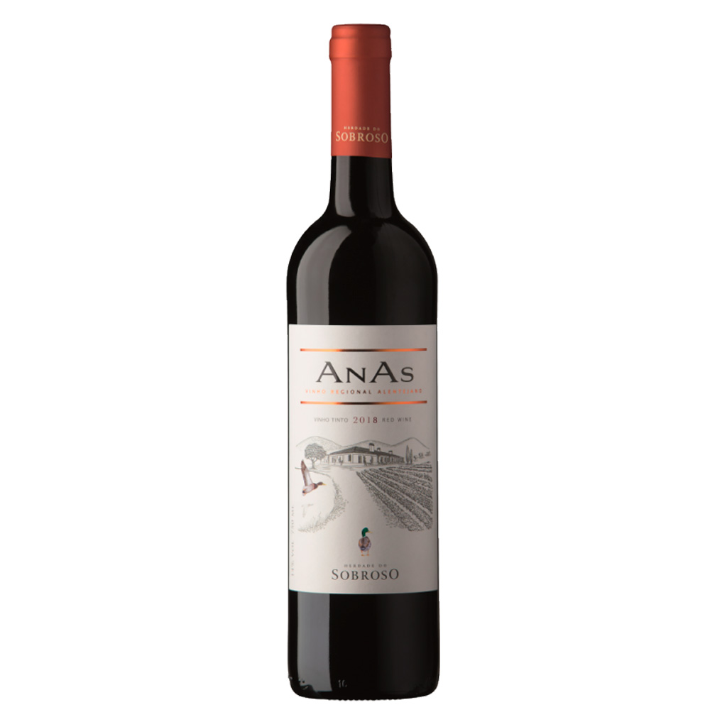 Anas Tinto, 2019