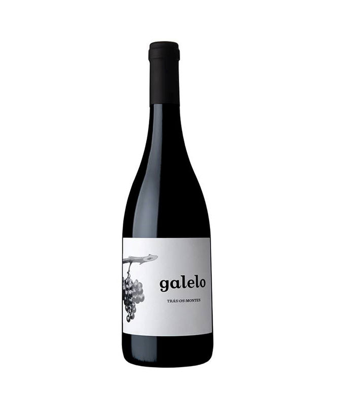 Galelo Tinto, 2017
