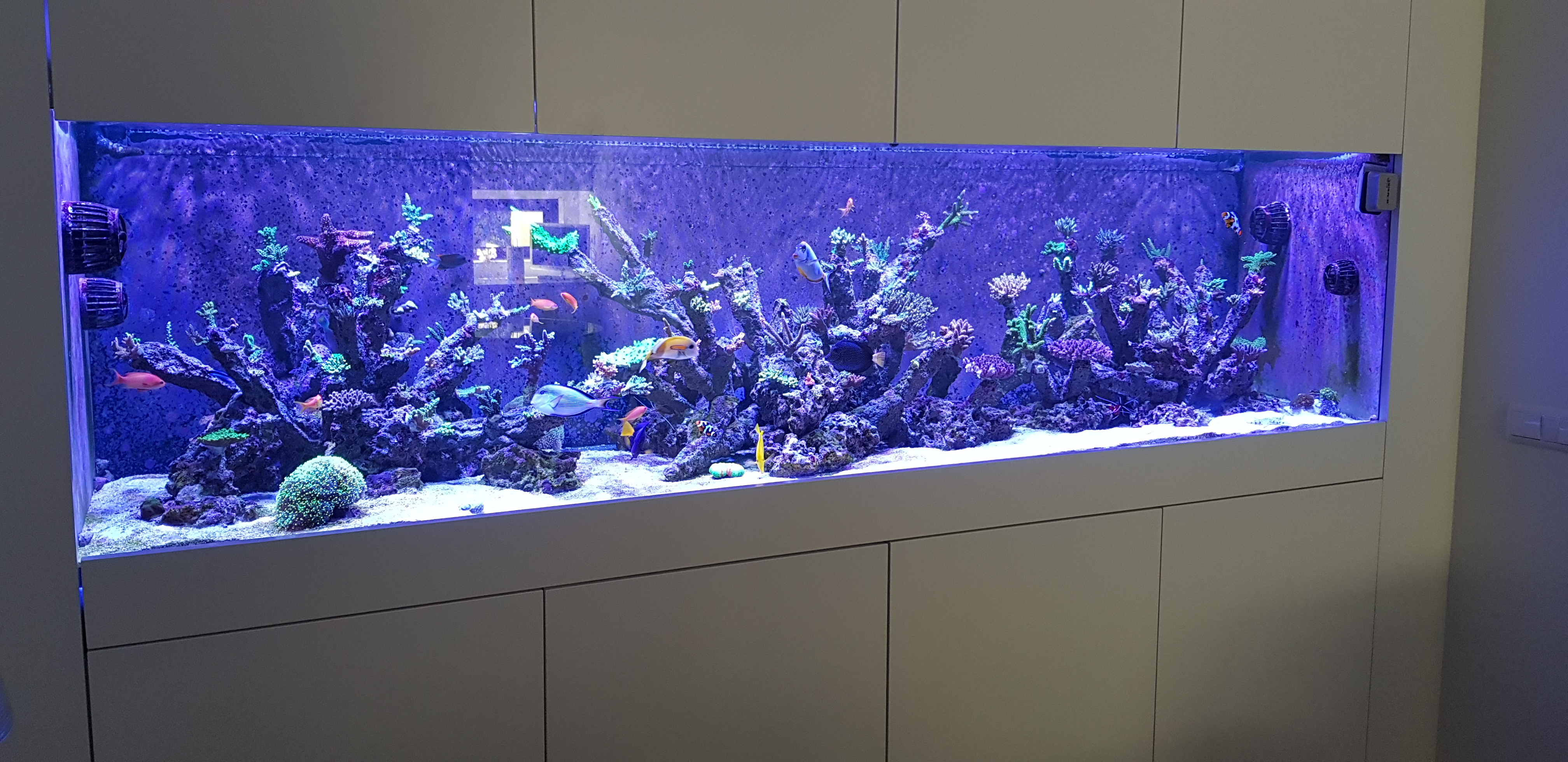 Montagem 250cm x 70cm x 60