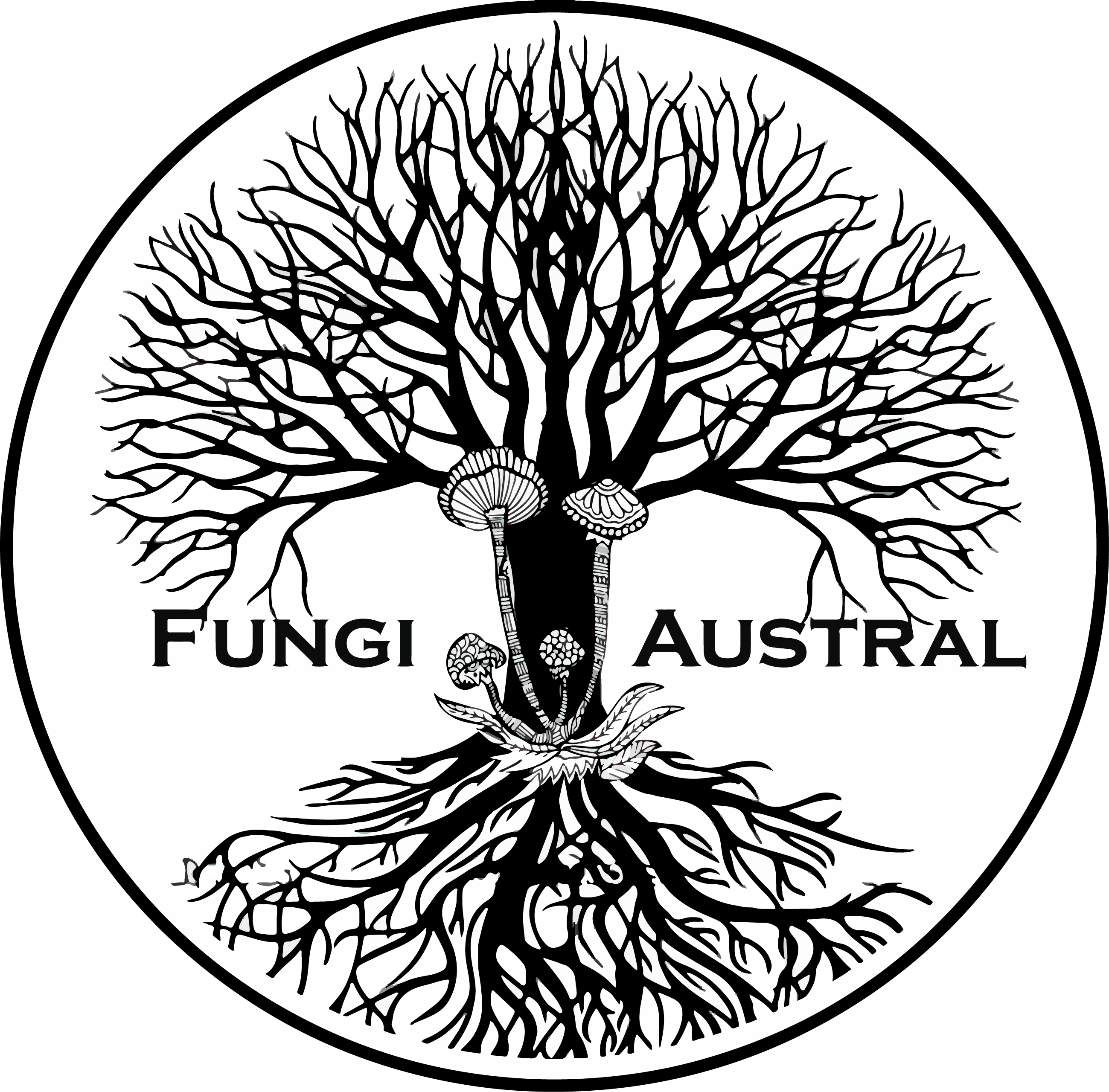 Fungiaustral | Extractos de Hongos y Plantas Adaptogenas
