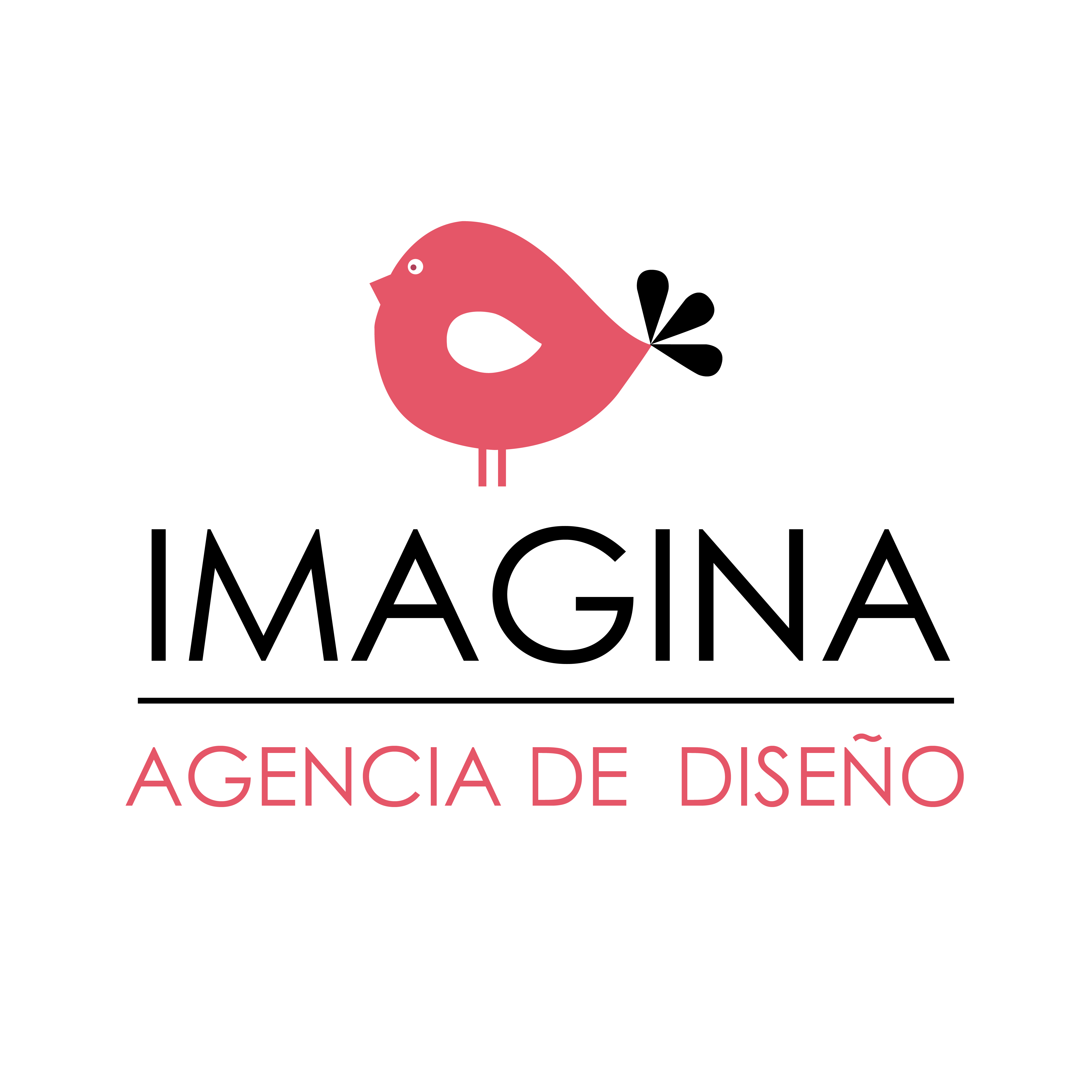IMAGINA GRÁFICAS