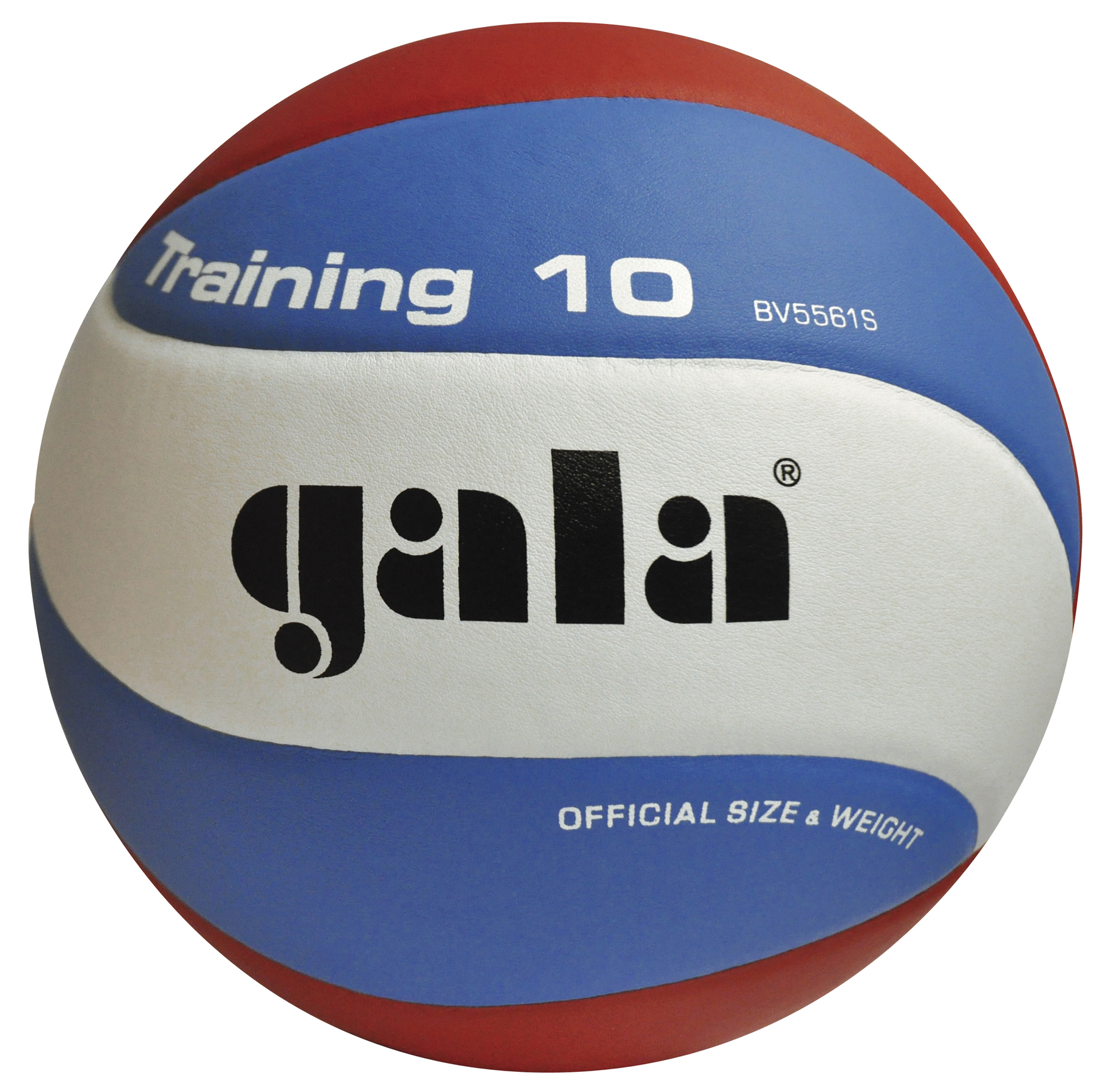 marca voleibol