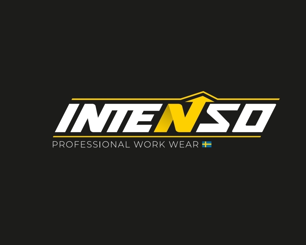Intenso Professional