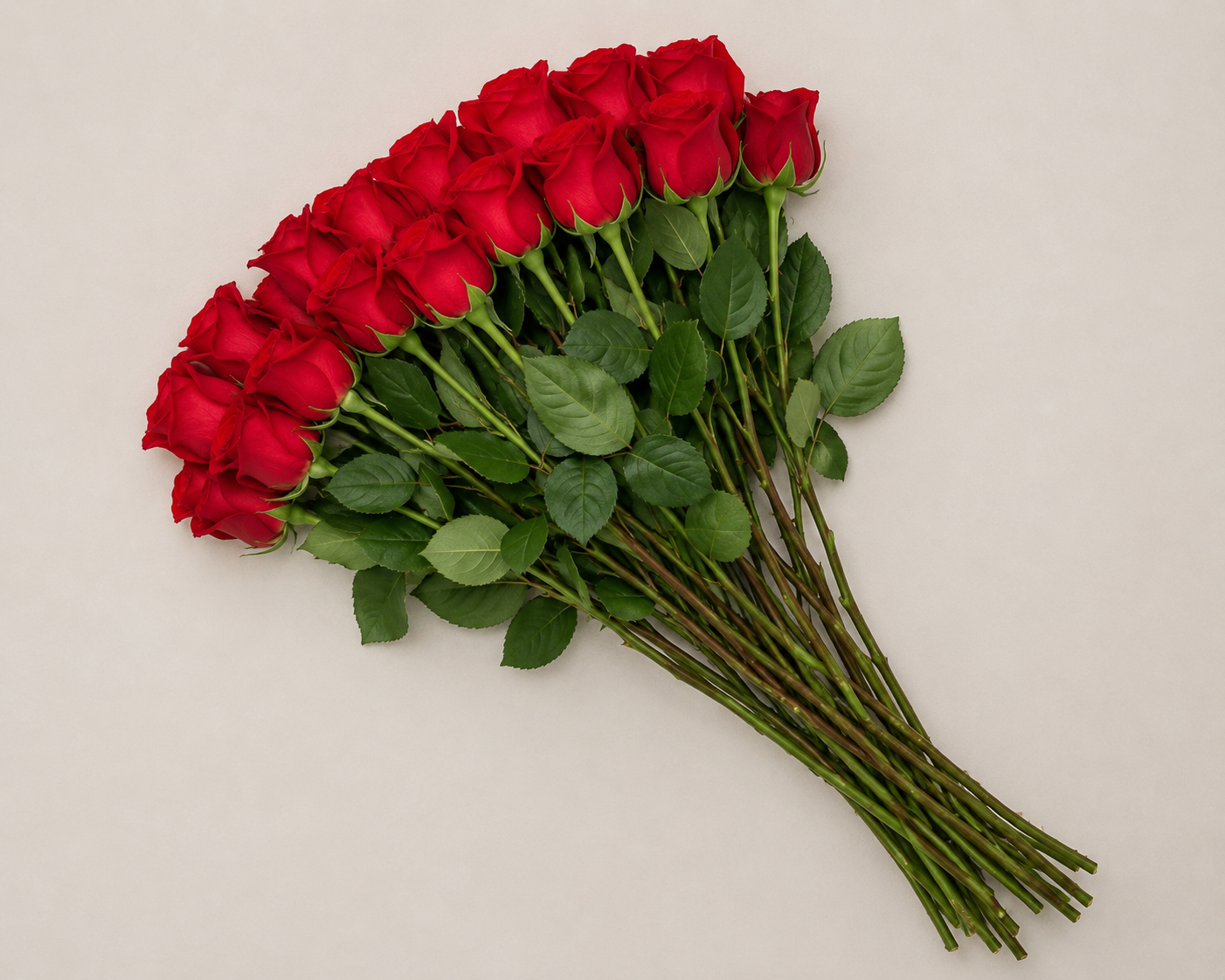 Paquete de 25 varas de rosa roja