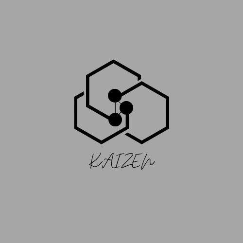 Kaizen store