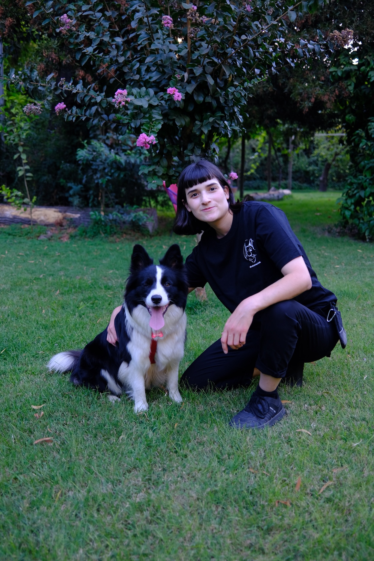 Rosita, border collie