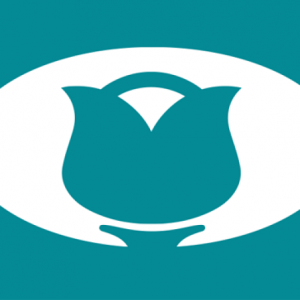 MARAVILL